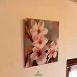 Casa Vilma 3 - Peschiera Del Garda Daire Cavalcaselle